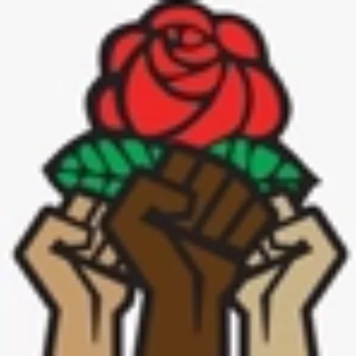 Socialist Australia logo